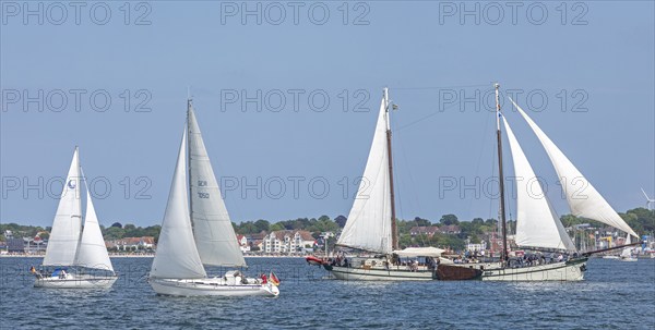 Sailing ship Elegant, sailing boats, Laboe, Kieler Woche, Kiel Fjord, Kiel, Schleswig-Holstein, Germany, Europe