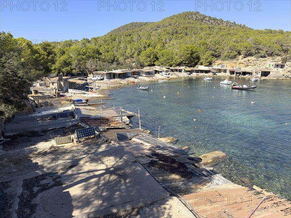 Small harbour with white boats in front of a wooded hilly landscape and clear water, Sa Caleta, Ibiza, Balearic Islands, Spain, Europe