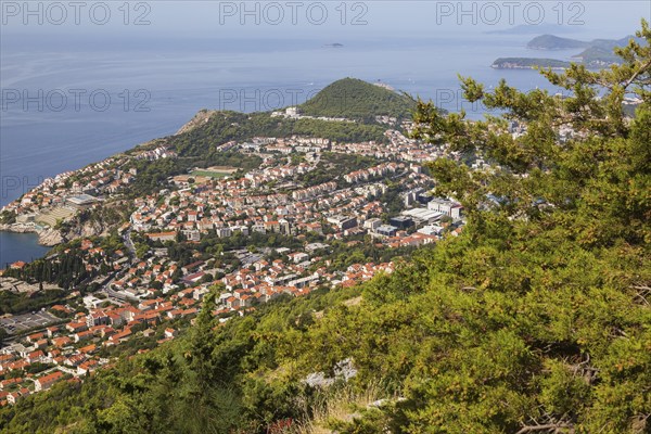 High angle view of tan and white trim houses and villas with traditional terracotta clay tile rooftops taken from Mount Srd in late summer, Dubrovnik, Croatia, Europe