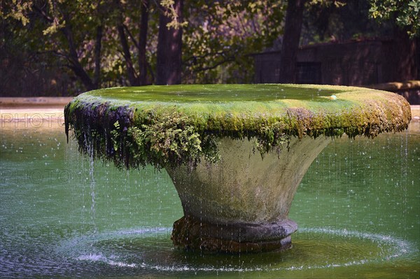 A moss-covered fountain in a green expanse of water surrounded by trees with a relaxed atmosphere, Italian Governor's Palace, Ruins, Italian colonial settlement, Eleousa, Rhodes, Dodecanese, Greek Islands, Greece, Europe