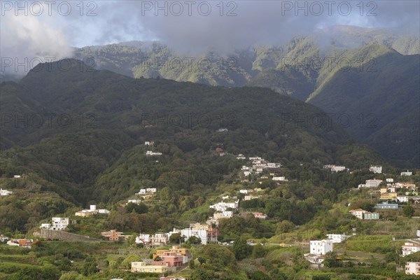 Green hills with scattered houses against a background of misty mountains, Los Sauces, La Palma, Canary Islands, Spain, Europe