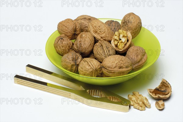 Walnuts (Juglans regia) and nutcrackers, shell