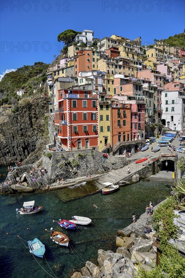 Fishing village of Riomaggiore, village view, Cinque Terre, province of La Spezia, Liguria, Italy, Europe