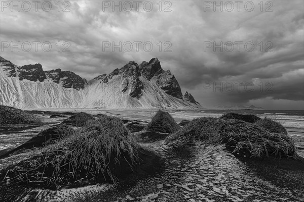 Black sand dunes with reed remains, behind them snowy rocky slopes of Vestrahorn, black and white photo, near Höfn, Sudausturland, Iceland, Europe