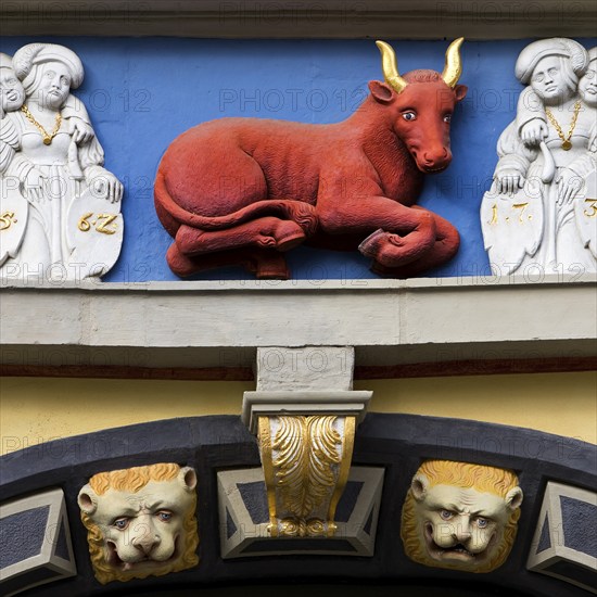 The red ox in the centre of the frieze above the ground floor at the Haus zum Roten Ochsen, Renaissance, Erfurt, Thuringia, Germany, Europe