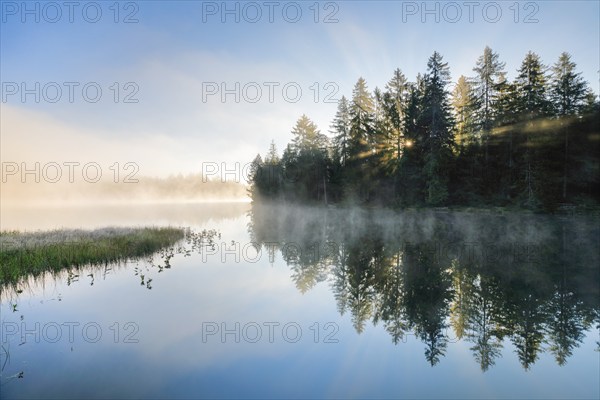 Rays of sunshine make their way through forest and fog at the mirror-smooth moorland lake Étang de la Gruère in the canton of Jura, Switzerland, Europe