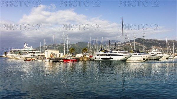 Luxury yacht marina, Porto Montenegro, Bay of Kotor, Montenegro, Tivat, Montenegro, Europe