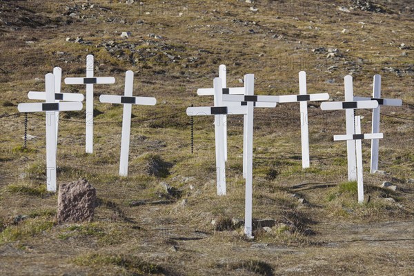 White wooden crosses on graves at the old cemetery of Longyearbyen in summer, Svalbard, Spitsbergen, Norway, Europe