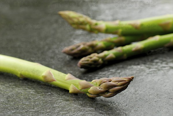 Green Garden asparagus (Asparagus officinalis) Green