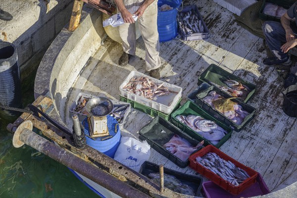 Selling fish directly from the boat, Vela Luka, Korcula, Dubrovnik-Neretva County, Croatia, Europe