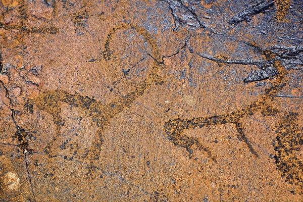 Petroglyphs of Siberian ibex (Capra sibirica), up to 2500 years old, West Karakol Valley, Tien Shan Mountains, Naryn region, Kyrgyzstan, Asia