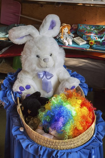 Colourful wig and plush toy bunny for sale inside second hand goods and chattels store, Quebec, Canada, North America