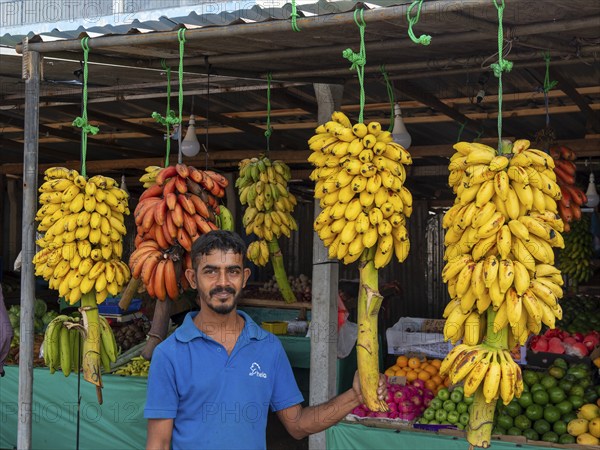 Fruit stall with banana trees and vendors, Sri Lanka, Asia