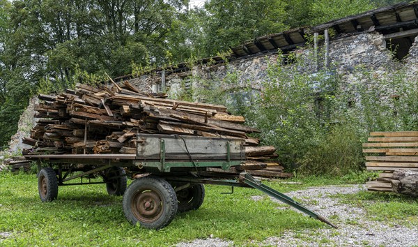 Logs stored on the grounds of the horticultural office, Schwangau, Bavaria, Germany, Europe