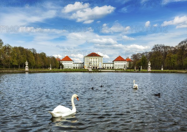 Swan in fountain in Grand Parterre (Baroque garden) and the rear view of the Nymphenburg Palace. Munich, Bavaria, Germany, Europe