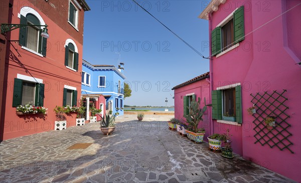 Colourful houses with flowers and clothesline, colourful house facades, alleys on the island of Burano, Venice, Veneto, Italy, Europe