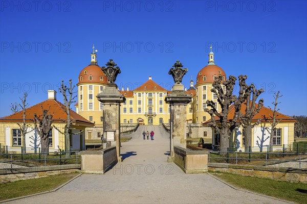 Picturesque view from the south of Moritzburg Castle in Moritzburg near Dresden, Saxony, Germany, Europe