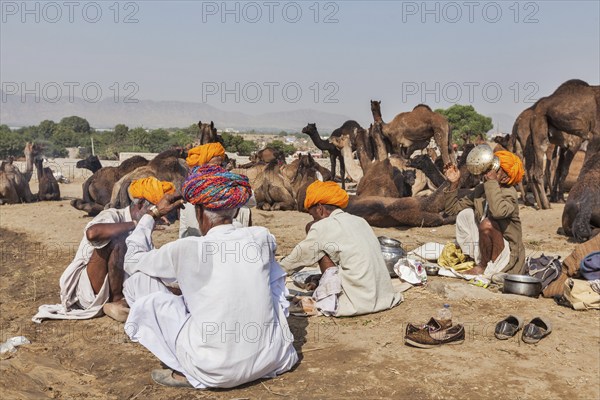 PUSHKAR, INDIA, NOVEMBER 21, 2012: Indian men and camels at Pushkar camel fair (Pushkar Mela), annual five-day camel and livestock fair, one of the world's largest camel fairs and tourist attraction