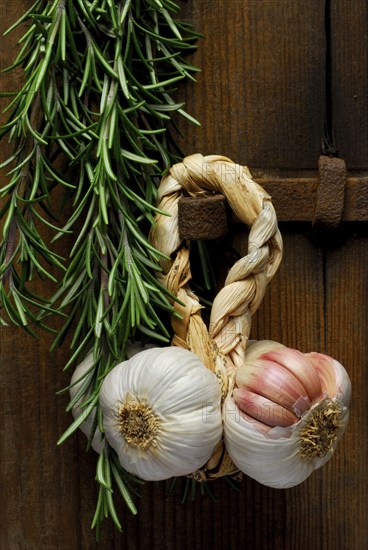 Rosemary and garlic plait, Aglio rosso di Nubia, red garlic, Sicily, Italy, Europe