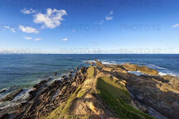 Rocky coast on the Pacific, ocean, sea, nature, landscape, blue sky, Byron bay, Queensland, Australia, Oceania