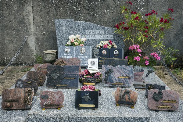 Graves, gravestones, cemetery in Puimoisson, Provence, region Provence-Alpes-Côte d'Azur, department Alpes-de-Haute-Provence, France, Europe