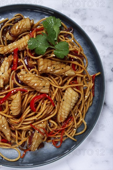 Udon noodles, with squid and vegetables, on a marble table, homemade, no people