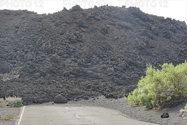 A road ends in front of a large accumulation of black volcanic rock and some vegetation, last volcanic eruption of Cumbre Vieja, Todoque, La Palma, Canary Islands, Spain, Europe