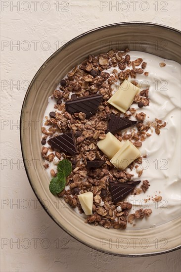 Yogurt with chocolate muesli, breakfast, close-up, fork on top, no people