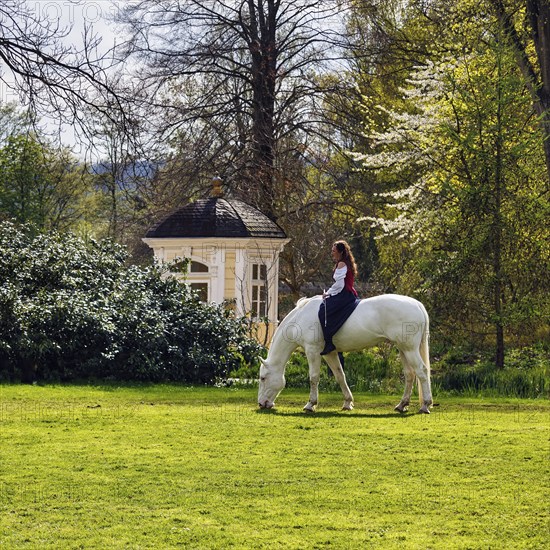 Rider Julia Temmler on Knabstrupper, white mare grazing, baroque horse, dressage riding, garden festival Landpartie 2013 in the spa gardens of Bad Pyrmont, Weserbergland, Germany, Europe