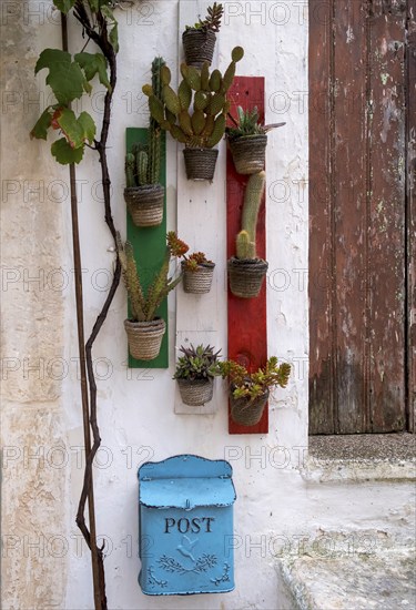 Flower pots with green plants hanging on wooden boards in the colours of Italy, blue post box, Cisternino, Valle d'Itria, Itria Valley, Apulia, Italy, Europe