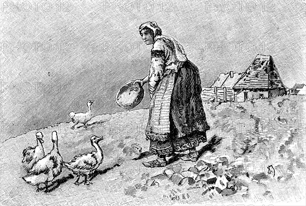 Farmer's wife in Bulgaria feeding the geese, Illustration from 1880, Historical, digital reproduction of an original from the 19th century