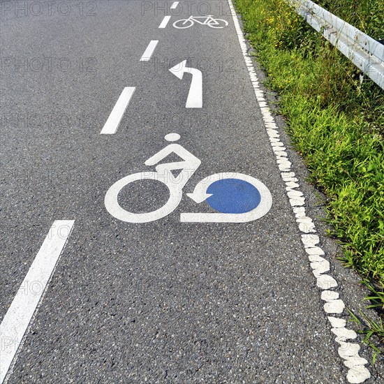 Cyclist pictogram, marking on asphalt, lane on Lake Constance cycle path, Lake Constance cycle path, long-distance cycle path, long-distance cycle route, Friedrichshafen, Lake Constance, Germany, Europe