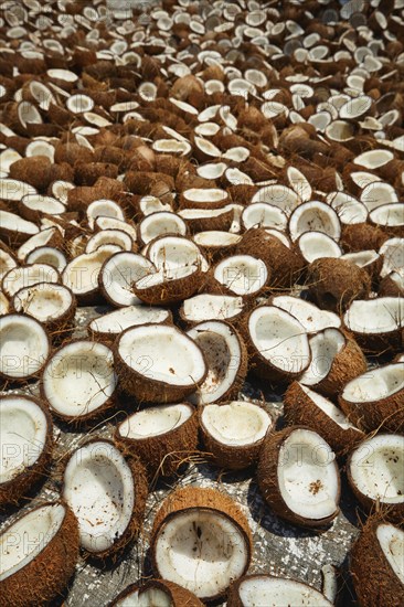 Drying coconuts in street, Kerala, South India