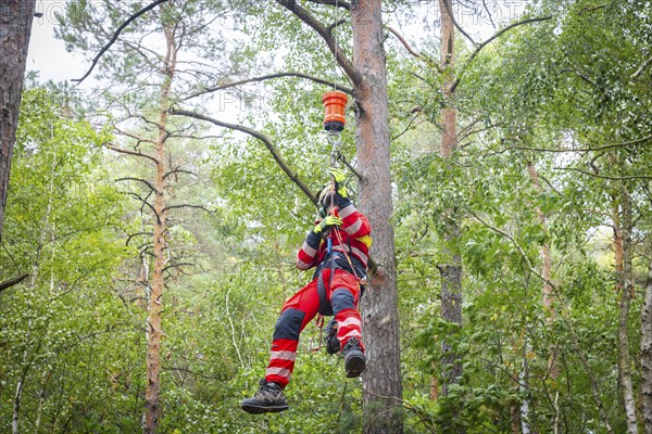 Winch rescue training of the rescue helicopter, Christoph 62, on the occasion of the 50th anniversary of the DRF Luftrettung. The rescue of casualties in the Elbe Sandstone Mountains will be practised