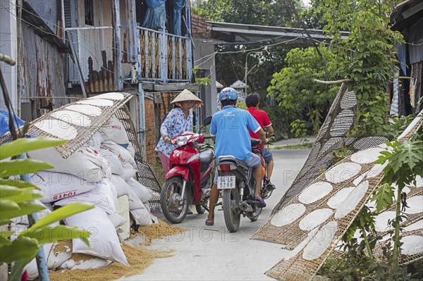 Sheets of edible rice paper, used for making fresh or fried spring rolls in Vietnamese cuisine drying in street, Mekong Delta, southwestern Vietnam