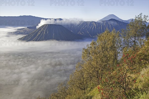 Sunrise over Mount Bromo, Gunung Bromo, active volcano and part of the Tengger massif, East Java, Indonesia, Asia