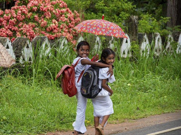 School children, girls in white school clothes with umbrella, Dambulla, Sri Lanka, Asia