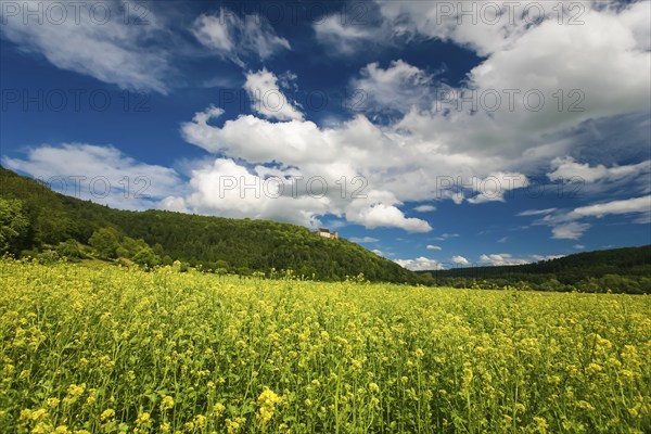 Weitenburg Castle, romantic hotel, historic building, residential castle in various architectural styles, Renaissance, Baroque, Neo-Gothic, cloudy atmosphere, rape field in bloom, Starzach, Neckar Valley, Baden-Württemberg, Germany, Europe