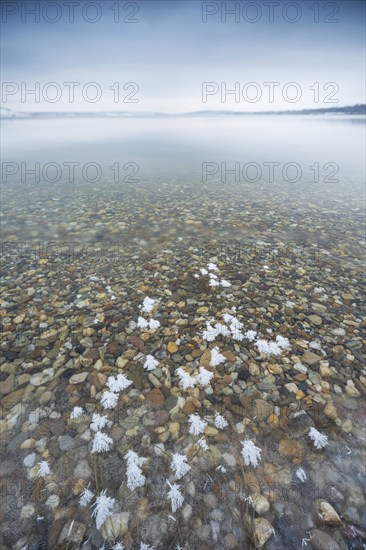 Winter at the Geiseltalsee, ice crystals, clear water and colourful pebbles, Mücheln, Saxony-Anhalt, Germany, Europe