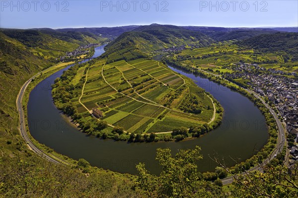 Moselle loop with vineyards and Saint Laurentius Church from the Bremmer Calmont via ferrata, Bremm, Rhineland-Palatinate, Germany, Europe