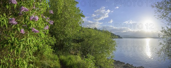 Liptovská Mara Reservoir, Liptovská Sielnica, Žilinský kraj, Slovakia, Europe