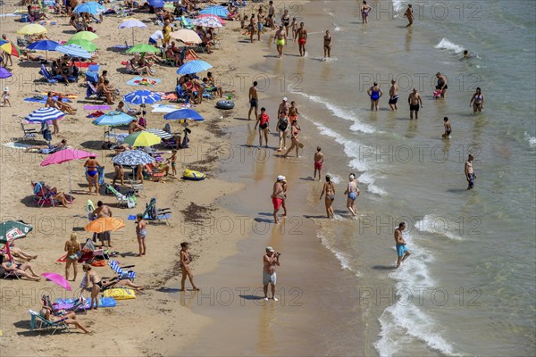 Many tourists at the beach, Playa Levante, Benidorm, Alicante province, Costa Blanca, Spain, Europe