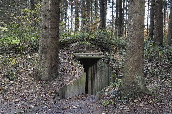 Entrance of cagna, hideout of the Belgian resistance fighters, the maquisards, at the Wolfsschlucht I, Grand Quartier Général Allemand 1940, open air museum with Adolf Hitler's bunker in the forest at Brûly-de-Pesche, Ardennes, Belgium, Europe