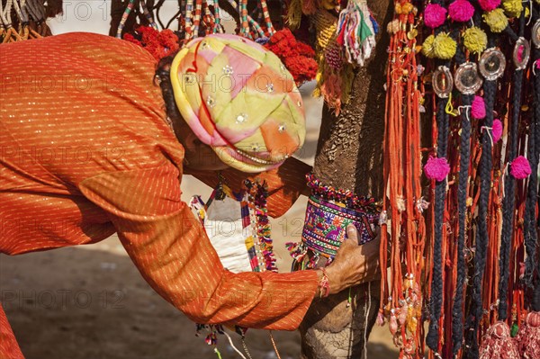 PUSHKAR, INDIA, NOVEMBER 22, 2012: Man decorating his camel for camel decoration contest at Pushkar camel fair (Pushkar Mela), annual five-day camel and livestock fair, one of the world's largest camel fairs and tourist attraction