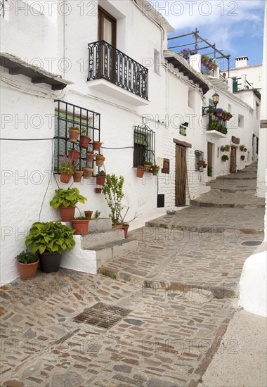 Houses in the village of Capileira, High Alpujarras, Sierra Nevada, Granada province, Spain, Europe