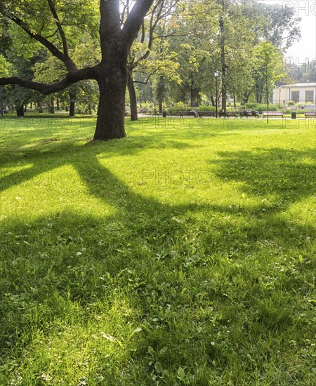 Bernardine Gardens park in the center of Vilnius, Lithuania, Europe