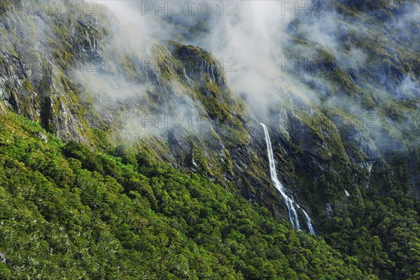 Earland Falls, Routeburn Track, Humboldt Mountains, Mount Aspiring National Park, South West New Zealand World Heritage Site, Otago, South Island New Zealand, New Zealand, Oceania