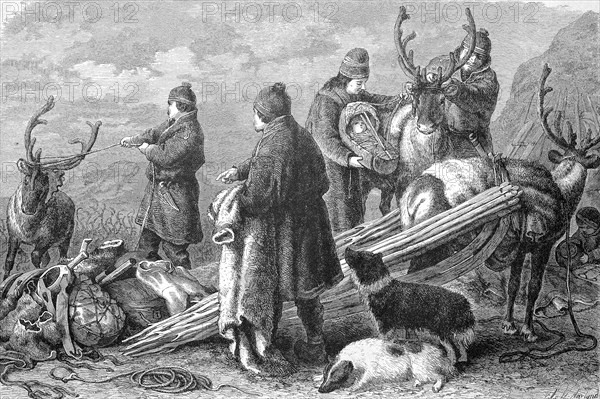 Nomads in Lapland pack up the reindeer for the departure to their summer quarters, Historical, digitally restored reproduction from a 19th century original, Record date not stated