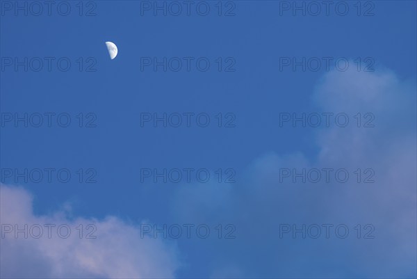 The waxing crescent moon stands bright in a deep blue evening sky with cumulus clouds illuminated slightly pink by the sun, Lower Saxony, Germany, Europe