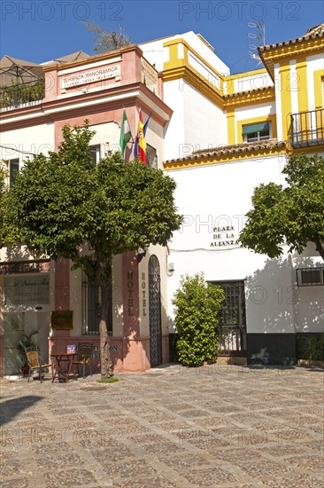 Hotel Palacio Alcazar in historic buildings, Plaza de la Alianza, Seville, Spain, Europe